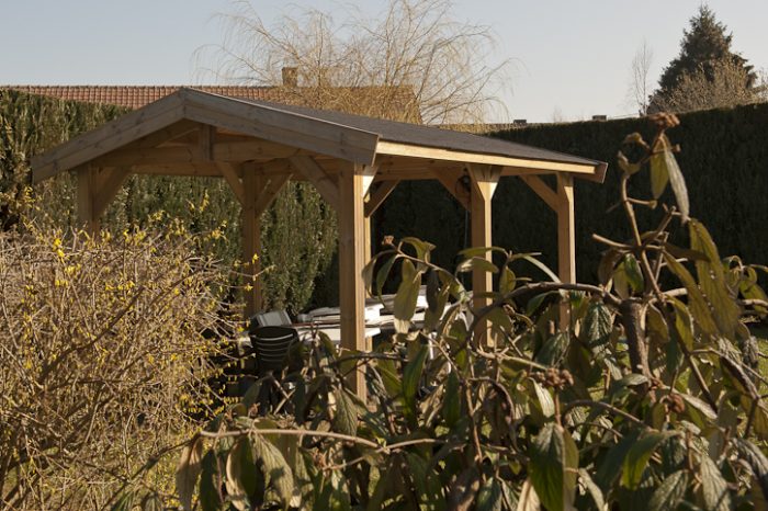 carport en bois standard